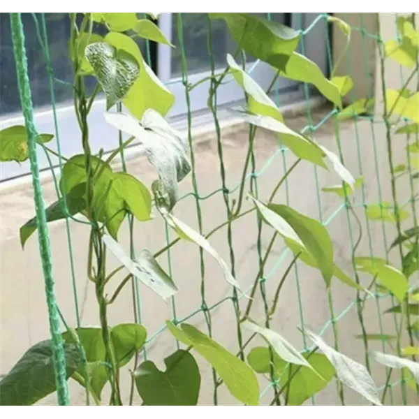 Tinklas - augalų atrama 2x20m Gardlov 23980