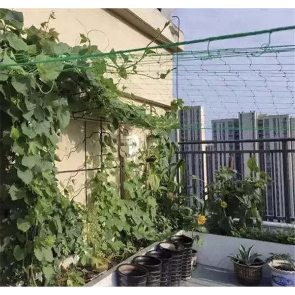 Verkko - kasvituki 2x20m Gardlov 23980