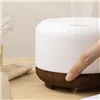 Aroma difuzors - LED mitrinātājs ar tālvadības pulti N23511