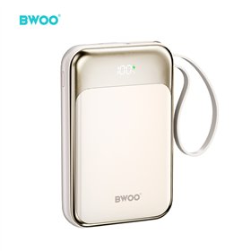 BWOO PD 20W 10000 mAh Power Bank With 2 Cables and Battery Display P80 gold