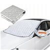 LTC Anti-frost windshield and mirror cover 235cm