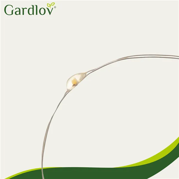 Päikesevarjuga 15m IP44 Gardlov 24007