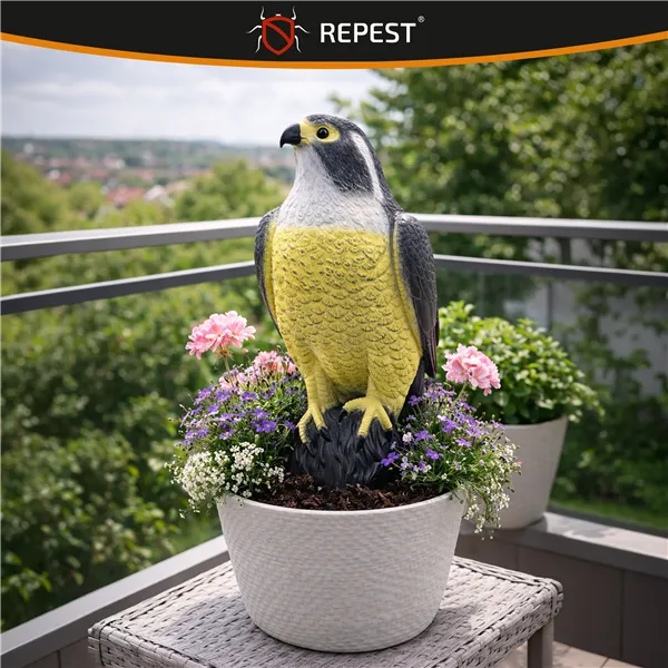 Bird scarer - falcon 23421