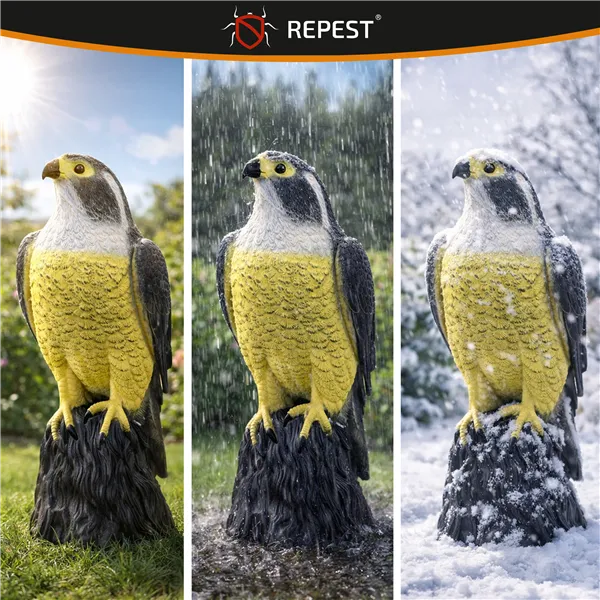 Bird scarer - falcon 23421
