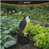 Linnupeleti - pistrik 23421