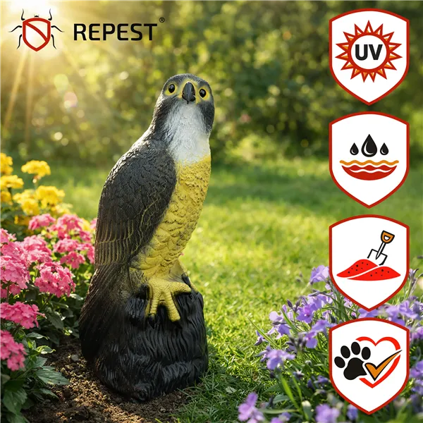 Linnupeleti - pistrik 23421