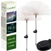 Solar garden lamp - dandelions Gardlov 25477