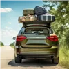 Luggage securing straps 25363