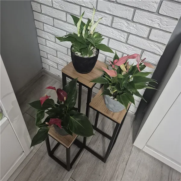 Stāvošs puķu statīvs 67 cm Ruhhy 25626