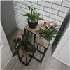 Standing flower stand 67cm Ruhhy 25626