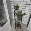 Standing flower stand 80cm Ruhhy 25627