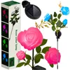 Solar lamp rose Gardlov 25282