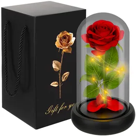 Roze glāzē - mirdzoša Ruhhy 25682