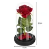 Rose in glass - shining Ruhhy 25682