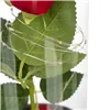 Roze glāzē - mirdzoša Ruhhy 25682