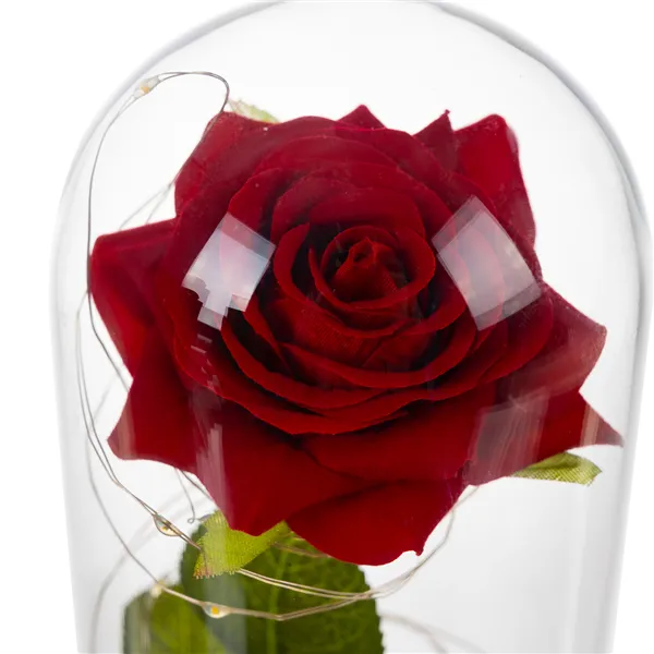 Roze glāzē - mirdzoša Ruhhy 25682