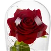 Rose in glass - shining Ruhhy 25682