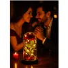 Rose in glass - shining Ruhhy 25682