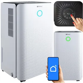 Ruhhy 26497 Air Dehumidifier