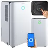 Ruhhy 26497 Air Dehumidifier