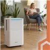 Dryzix 500 Ruhhy 26498 Dehumidifier