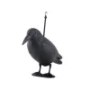 Linnupeleti - ronk
