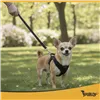 Pressure-free harness for animals XS Purlov 26869