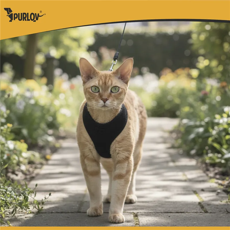 Pressure-free harness for animals XS Purlov 26869
