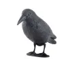 Linnupeleti - ronk