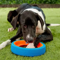 ChuckIt Fetch Wheel L