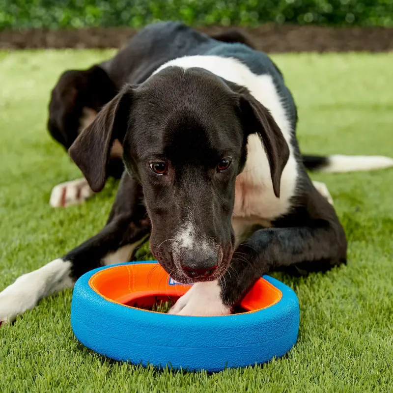 ChuckIt Fetch Wheel L