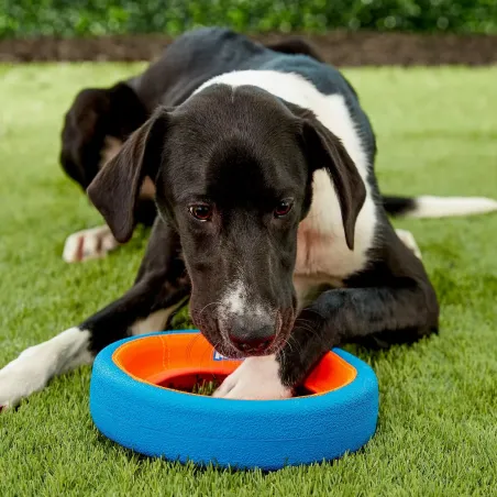 ChuckIt Fetch Wheel L