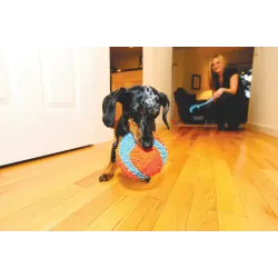 ChuckIT! siseruumides kasutatav pall Indoor ball