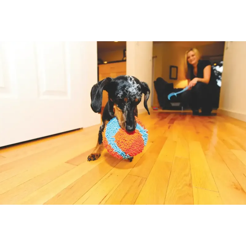 ChuckIT! siseruumides kasutatav pall Indoor ball