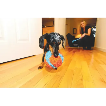 ChuckIT! siseruumides kasutatav pall Indoor ball