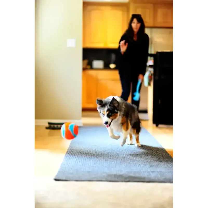 ChuckIT! siseruumides kasutatav pall Indoor ball