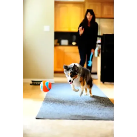 ChuckIT! siseruumides kasutatav pall Indoor ball