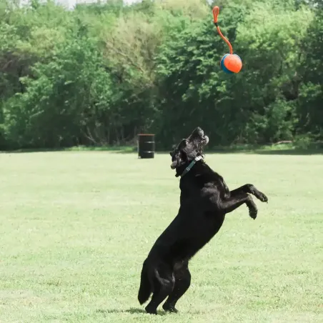 ChuckIT! köiega mänguasi Rope fetch