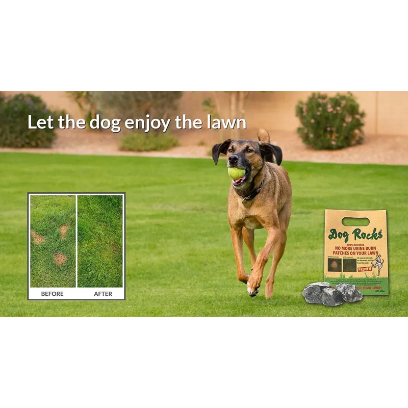 Dog Rocks muru uriinilaikude vastased kivid