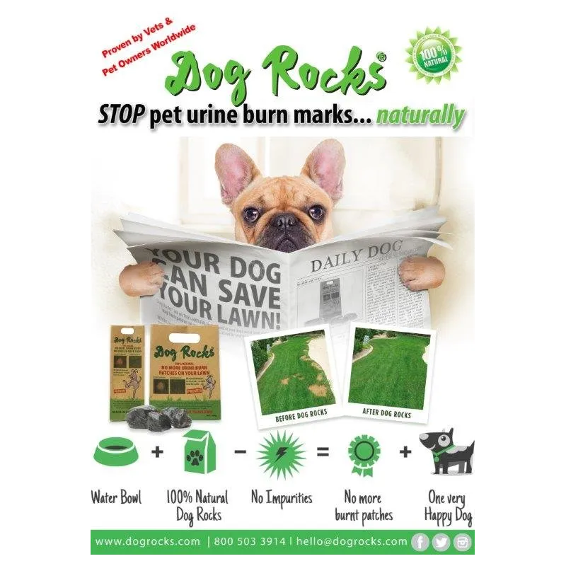 Dog Rocks muru uriinilaikude vastased kivid