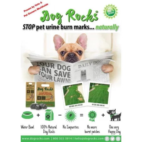 Dog Rocks muru uriinilaikude vastased kivid