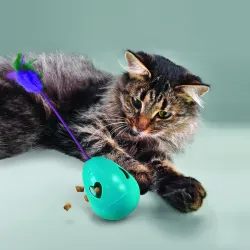 Kong Cat Infused toiduga täidetav