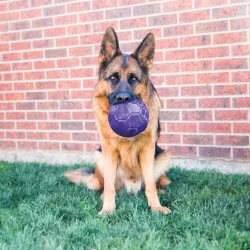 KONG vastupidav pall Flexball M/L