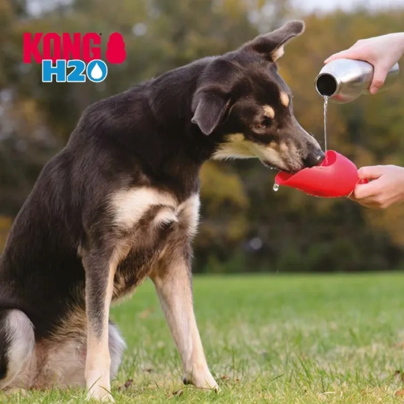 Kong H2O bottle for dogs 739ml Must