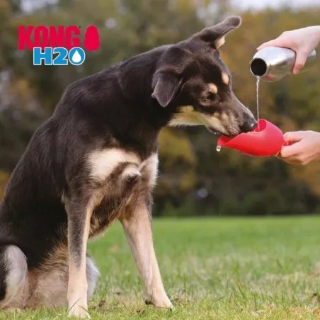 Kong H2O bottle for dogs 739ml Must