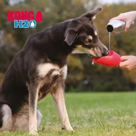 Kong H2O bottle for dogs 739ml Oranž