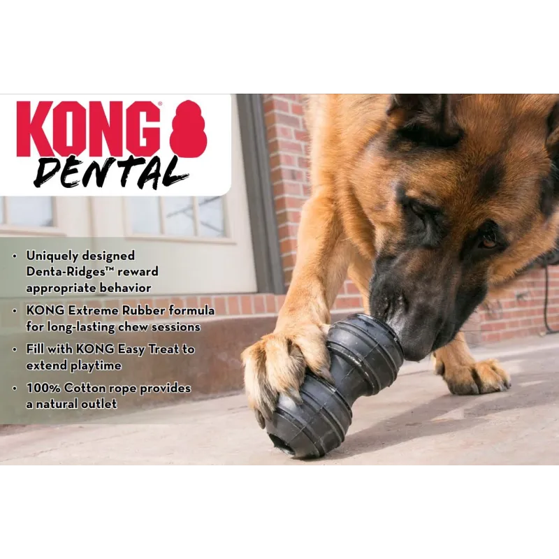 KONG vastupidav närimismänguasi Extreme Dental L