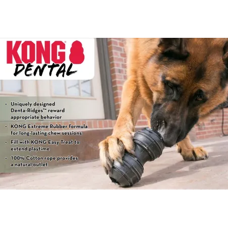 KONG vastupidav närimismänguasi Extreme Dental L