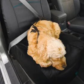 Kurgo kate kõrvalistmele CoPilot auto istme kate
