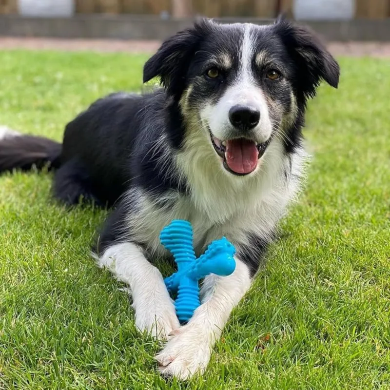 Nylabone L närimismänguasi Power Chew X Bone beef